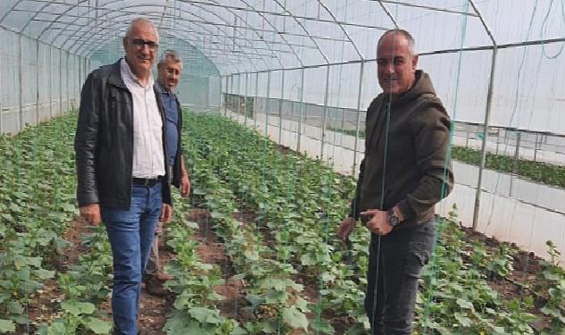 Gemlik Belediyesi’nde organik tarım çalışmaları sürüyor