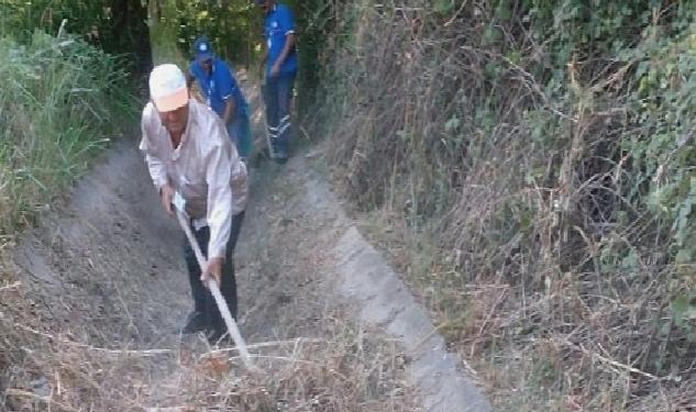 Muğla Büyükşehir’den Muğla Tarımına Destek