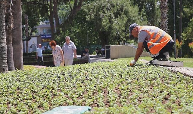 Antalya bu yaz çiçek bahçesine dönecek