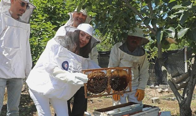 Antalya Büyükşehir kursiyerleri kovan başında arıcılık eğitimi aldı