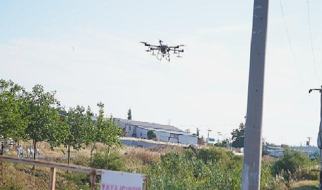 Ayvalık’ta dronların hedefinde sinekler var