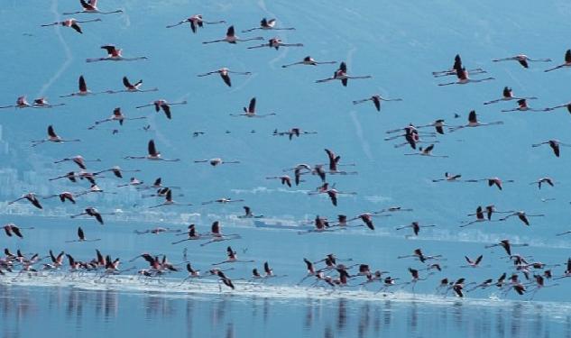 Başkan Soyer Çiğli Arıtma Tesisi’ndeki çalışmaları inceledi İZSU’dan temiz Körfez için tarihi adımlar