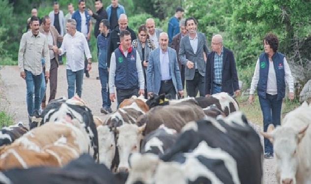 Bergama’da yayla yolculuğu başladı