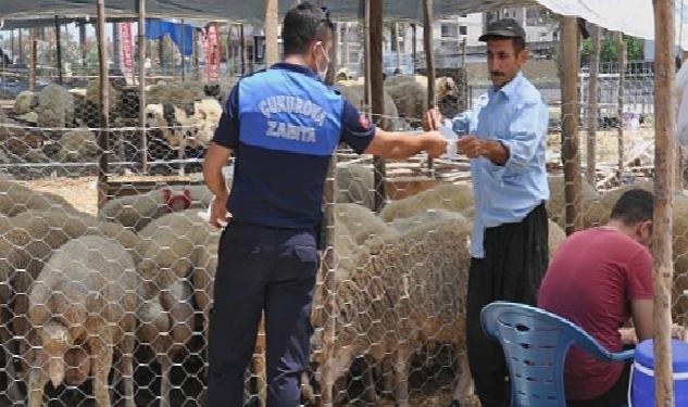 Çukurova kurban satış yerleri