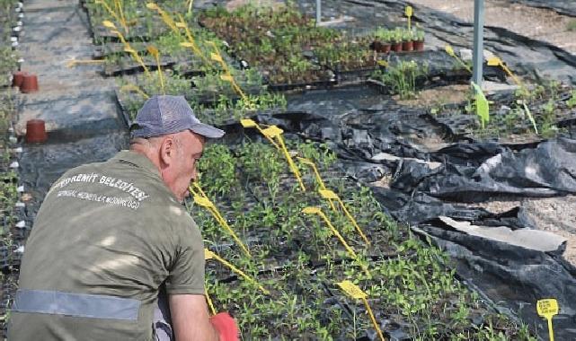 Edremit Belediyesi’nin ATA Tohumu projesi büyüyor