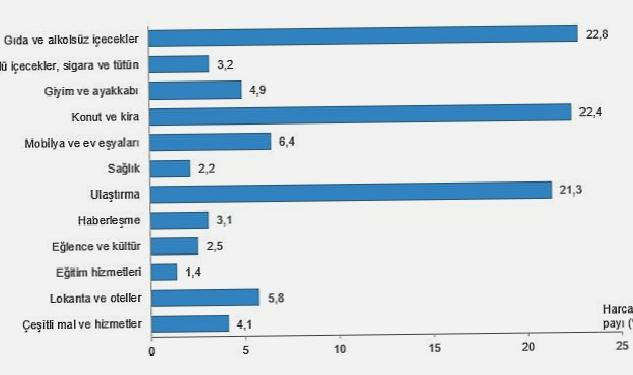 Hanehalkı bütçesinden en fazla pay gıda ve alkolsüz içecek harcamasına ayrıldı