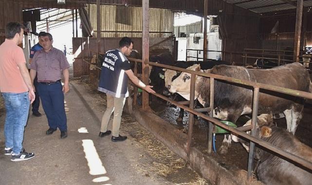 Kartepe’de kurban satışını sıkı denetim 