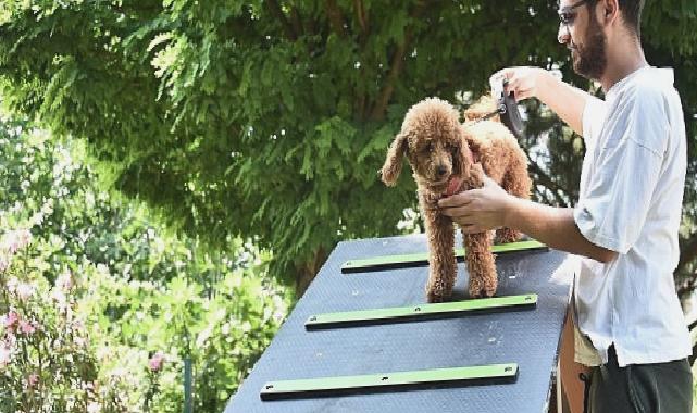 Kemalpaşa Belediyesi can dostlar için ilçenin ilk köpek parkını kurdu