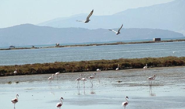 Kuş Cenneti’ne anjiyo: 40 km yatak temizlenecek