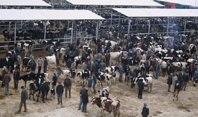 Ödemiş’te kurban satış ve kurban kesim yerleri belli oldu