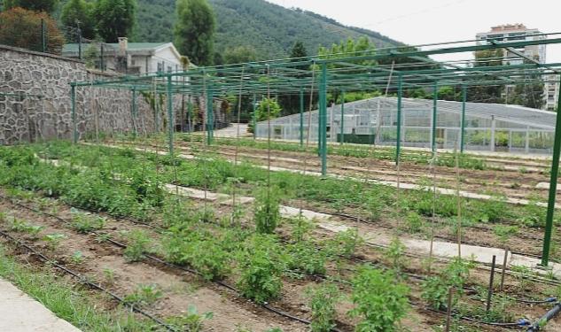 Tugay “Yerel tohumları koruyor ve toprakla buluşturuyoruz”