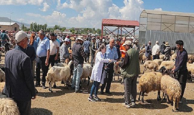 Van Büyükşehir Belediyesi canlı hayvan pazarında bilgilendirme yaptı