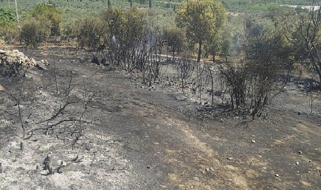 Aydın Büyükşehir Belediyesi İtfaiyesi yangına hızla müdahale etti