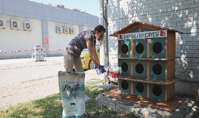 Bayraklı’da can dostlar için ‘bir kap su’ kampanyası