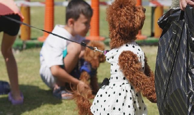 Çeşmeli can dostlar Fest Pati’de buluştu