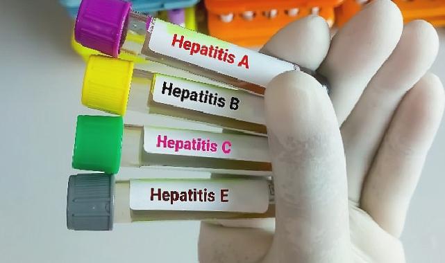 Hepatitte Aşılama Kronik Enfeksiyonları Önlemede %95 Etkili