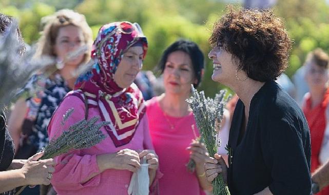 İmece usulü lavanta hasadında dayanışma örneği