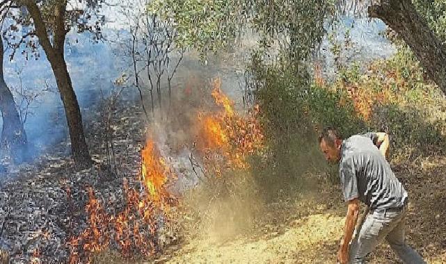 İzmir Kınık’taki yangında Devlet millet el ele verdi