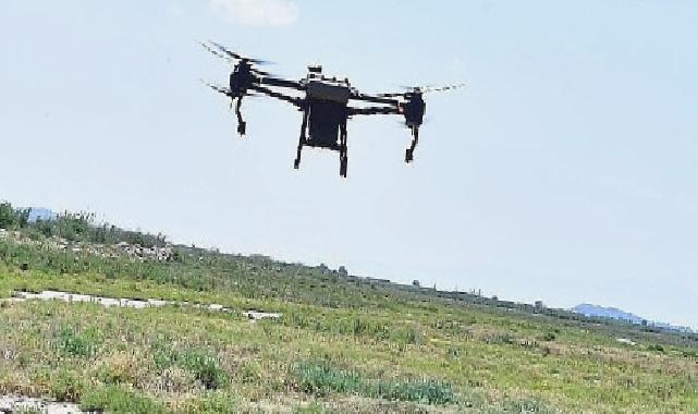 İzmir’de sivrisinek ile dronlu mücadele