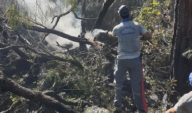 Kemer’deki orman yangınına müdahale sürüyor