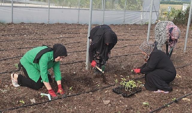 Kocaeli Büyükşehir’den kadın girişimcilere tarımsal destek