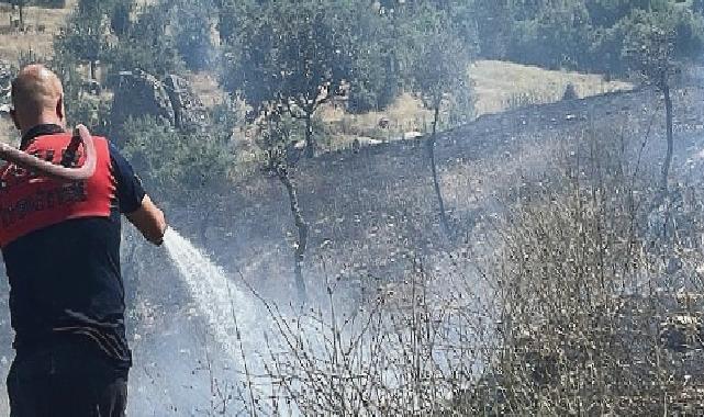 Koçarlı’daki yangın kontrol altına alındı