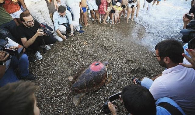 Lara Barut Collection’ın destekleri ile denizle buluşan Caretta Caretta, bir yılda 3000 km yol katetti