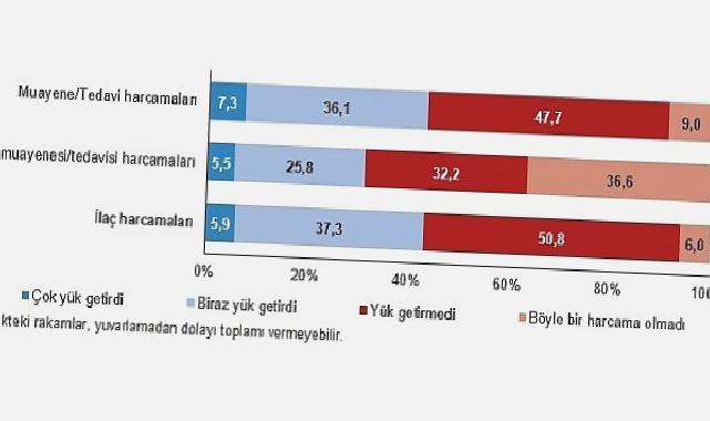 Muayene ve tedavi harcamaları hanelerin yüzde 7,3’üne çok yük getirdi