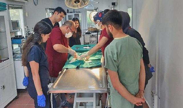 Osmangazi Belediyesi’nden Veteriner Fakültesi öğrencilerine uygulamalı eğitim