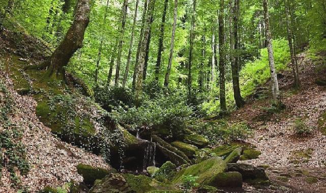 Suuçtu Şelalesi ziyaretçi akınına uğradı