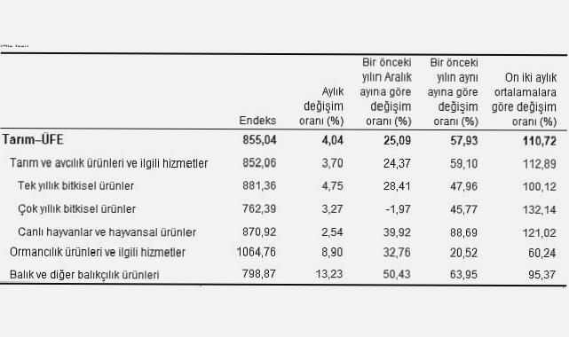 Tarım ürünleri üretici fiyat endeksi (Tarım-ÜFE) yıllık yüzde 57,93, aylık yüzde 4,04 arttı