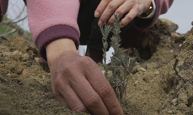 TOÇEV, Payam Ekolojik Badem Köyü Projesi’ne destek bekliyor