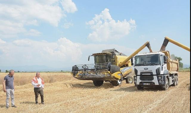 Torbalı Belediyesi Buğday Hasadı