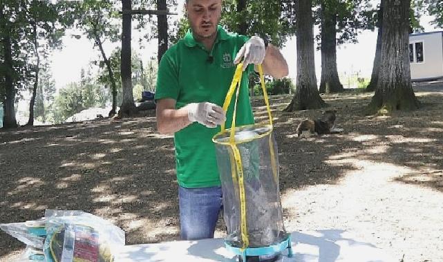 Vektör mücadelesinde karasinek tuzağı