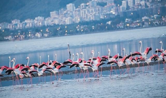 Arıtma lideri İzmir’in denizi de “mükemmel” çıktı