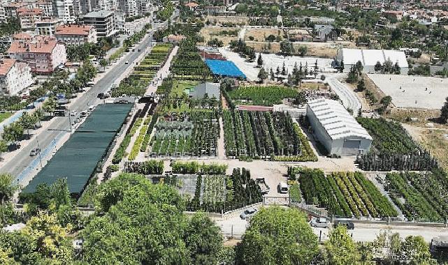 Başkan Altay Konya Ağaç A.Ş Satış Merkezi’nde İncelemelerde Bulundu