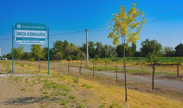 Çumra’nın Yeşil Alanları Nefes Oldu