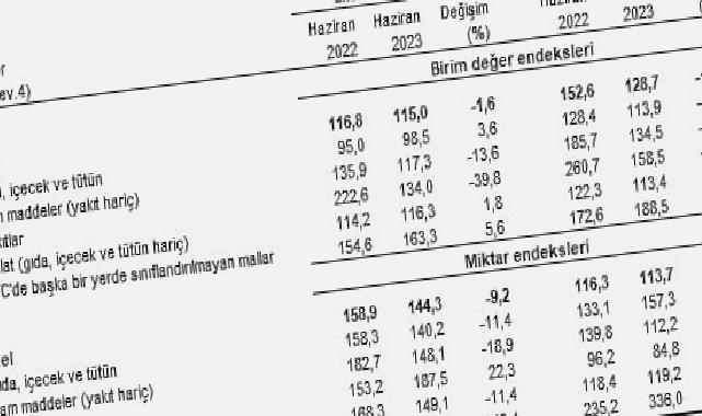 TÜİK: İhracat birim değer endeksi %1,6 azaldı