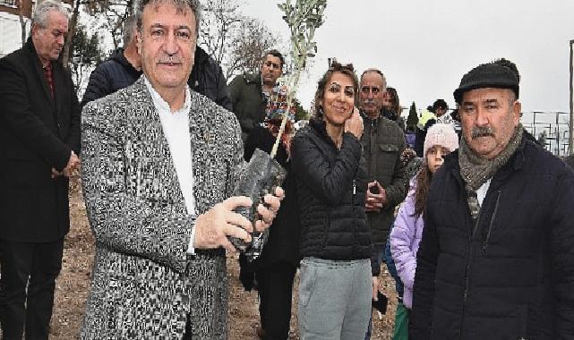 Bornova’da zeytincilik eğitimleri devam ediyor