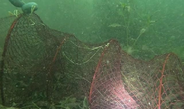 Kartepe’de sazan balığı tutma yarışması başladı