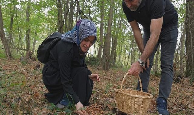 Kocaeli’nde Ormanya’da mantar avı düzenlendi