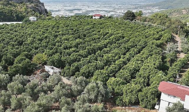 Kumlucalı üreticiler kapalı devre sulama tesisinden memnun