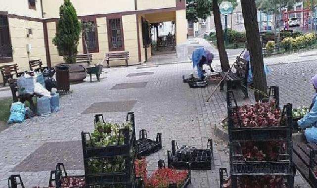 -Osmangazi Belediyesi ilçeyi çiçek bahçesine çeviriyor