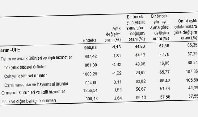 Tarım ürünleri üretici fiyat endeksi (Tarım-ÜFE) yıllık yüzde 62,56 arttı, aylık yüzde 1,13 azaldı