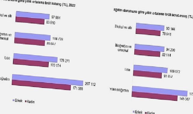 Kazanç Yapısı İstatistikleri, 2022