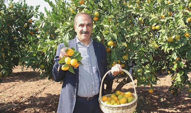 Narenciye sektörü KKTC’de görülen yeşillenme hastalığının Türkiye’ye sıçramaması için topyekûn mücadele istiyor