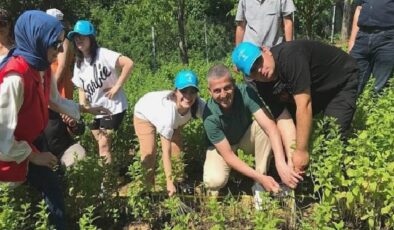 Özel çocuklarımız sebze ve aromatik bitki yetiştiriyor